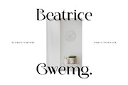 Elonade - Classic Serif Display Font, a Serif Font by Vesvocrea (Thumbnail 4 of 11)