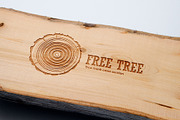 Tree trunk cross section., an Object Graphic by DOBROGRAPH (Thumbnail 7 of 7)