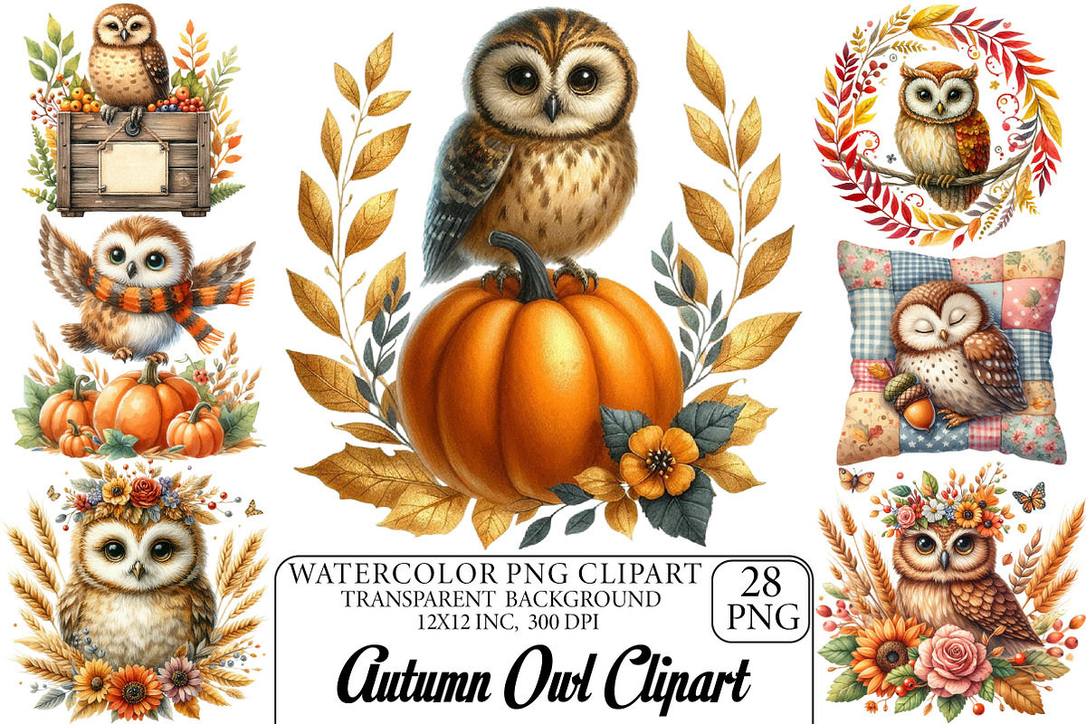 Watercolor Autumn Owl Clipart, an Illustration by DreamPrint404 (Photo 1 of 6)