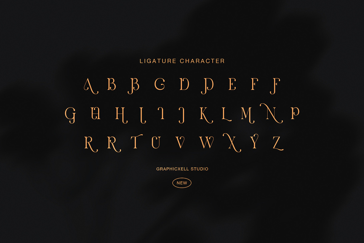 Worid Elegant Luxury Serif Font, a Serif Font by Graphicxell (Photo 8 of 8)