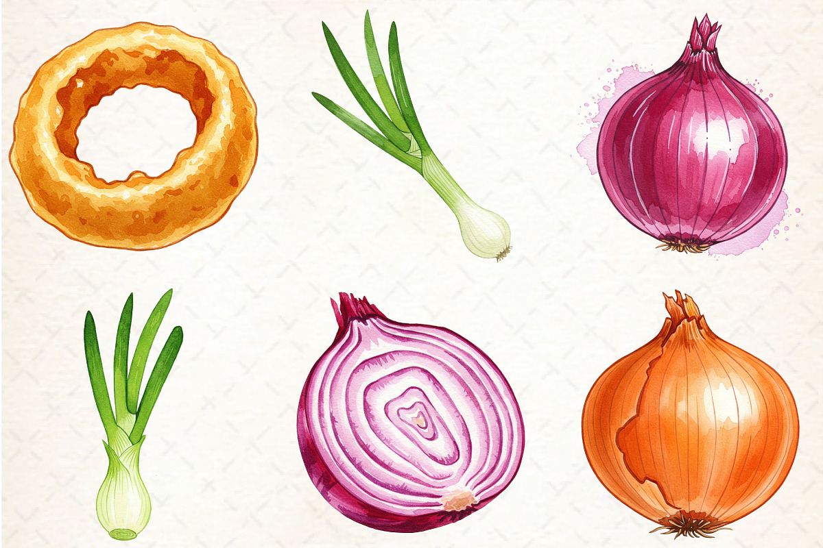 Watercolor Onion Clipart, an Illustration by Libby Wishes (Photo 6 of 6)