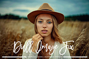 Lightroom Preset Dull Image Fix, a Preset Add-On by SabTin Designs (Thumbnail 1 of 4)