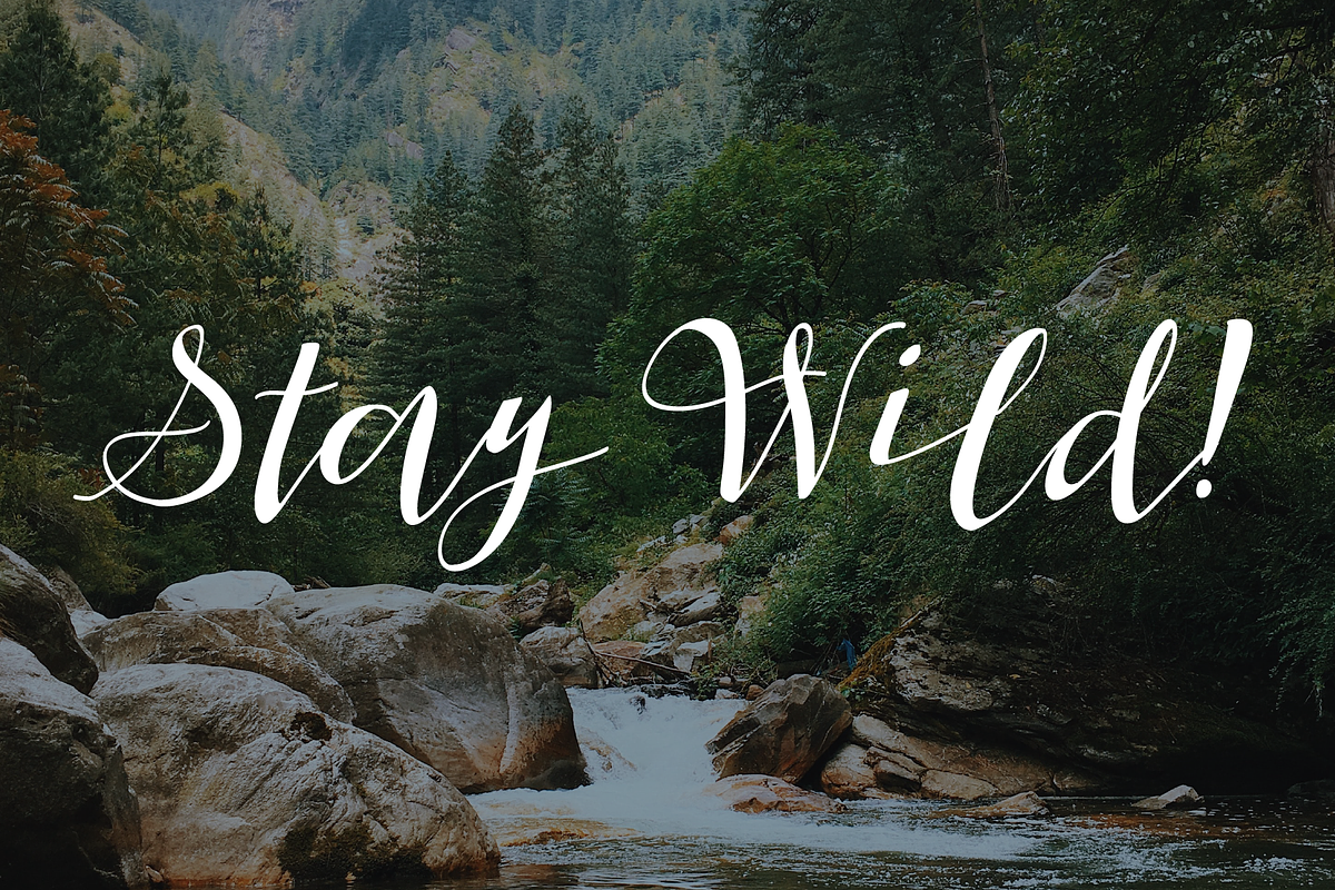 Wedding Script, a Script Font by FontDuo (Photo 6 of 6)