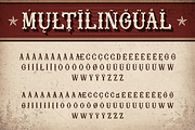 Rowina, a Serif Font by Burntilldead (Thumbnail 11 of 12)