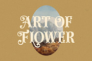 Airen Decorative Display font, a Serif Font by RantautypeStudio (Thumbnail 4 of 15)