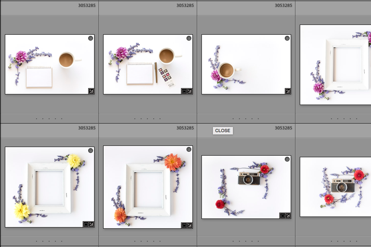 61 Styled Stock - Dahlia Collection, a Templates & Theme by Cohesive Market (Photo 6 of 7)