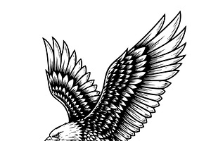 Eagle in landing pose with wings, an Animal Illustration by yod67
