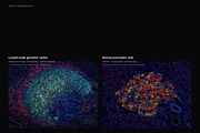 Biomedical Microscopy, a Healthcare Illustration by liravega (Thumbnail 6 of 7)