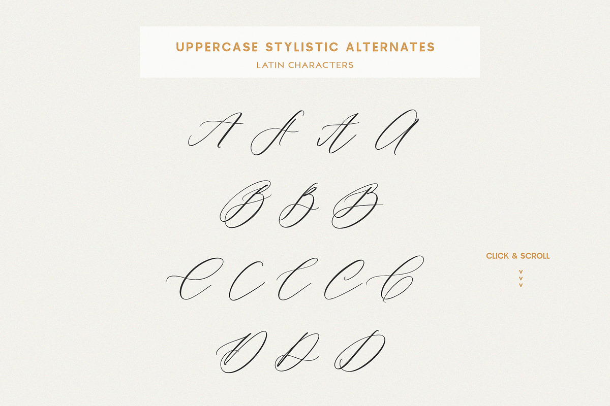 Saint Viet | Calligraphy Font, a Script Font by Calamar Studio (Photo 23 of 29)