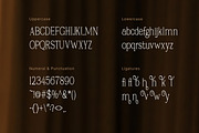 Carhane Modern Ligature Serif, a Serif Font by Vadovastd (Thumbnail 2 of 7)
