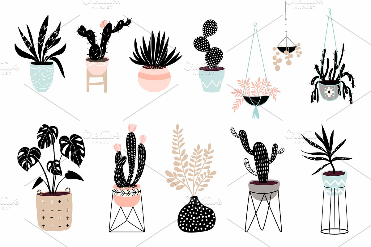 Tropical plants collection, a Decorative Illustration by Letto studio (Photo 4 of 4)
