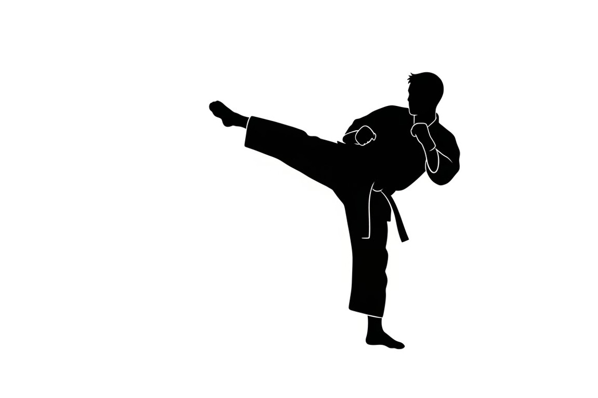 Dynamic martial arts kick silhouette, an Illustration by Amazin_art (Photo 36 of 36)