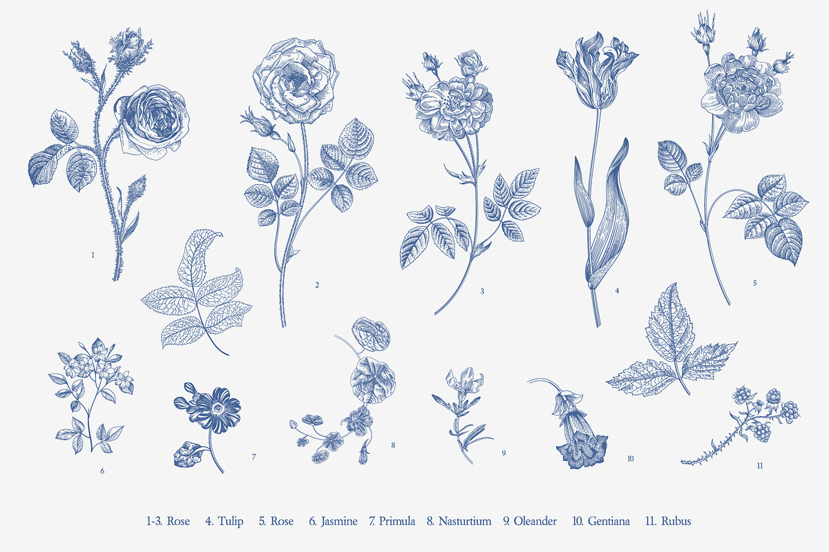 The Tree of Life. Blue and white, a Decorative Illustration by olga.korneeva (Photo 3 of 12)