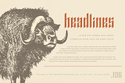 AfterOne - Blackletter Inspired Font, a Blackletter Font by AlienValley (Thumbnail 4 of 6)