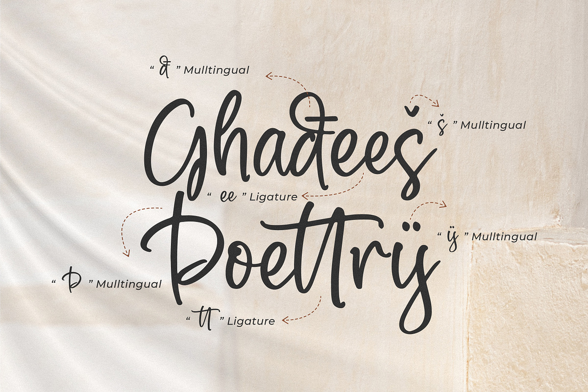 Shènttany, a Script Font by Integritype Studio (Photo 14 of 15)