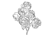 Outlined Rose Bouquets, an Object Graphic by VictoriaKStudio (Thumbnail 2 of 4)
