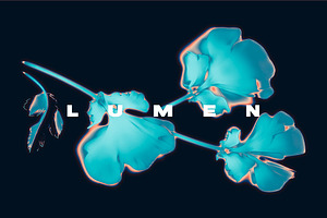 LUMEN Prints of Flowers and Plants