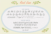 Real Love Wedding Font Duo, a Handwritten Font by AnMark (Thumbnail 9 of 13)