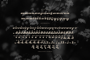 Rolling Rhapsody Handwritten Script, a Script Font by gracetype_studio (Thumbnail 12 of 12)