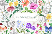 Wildflowers, an Illustration by Flora+Bear (Thumbnail 1 of 11)