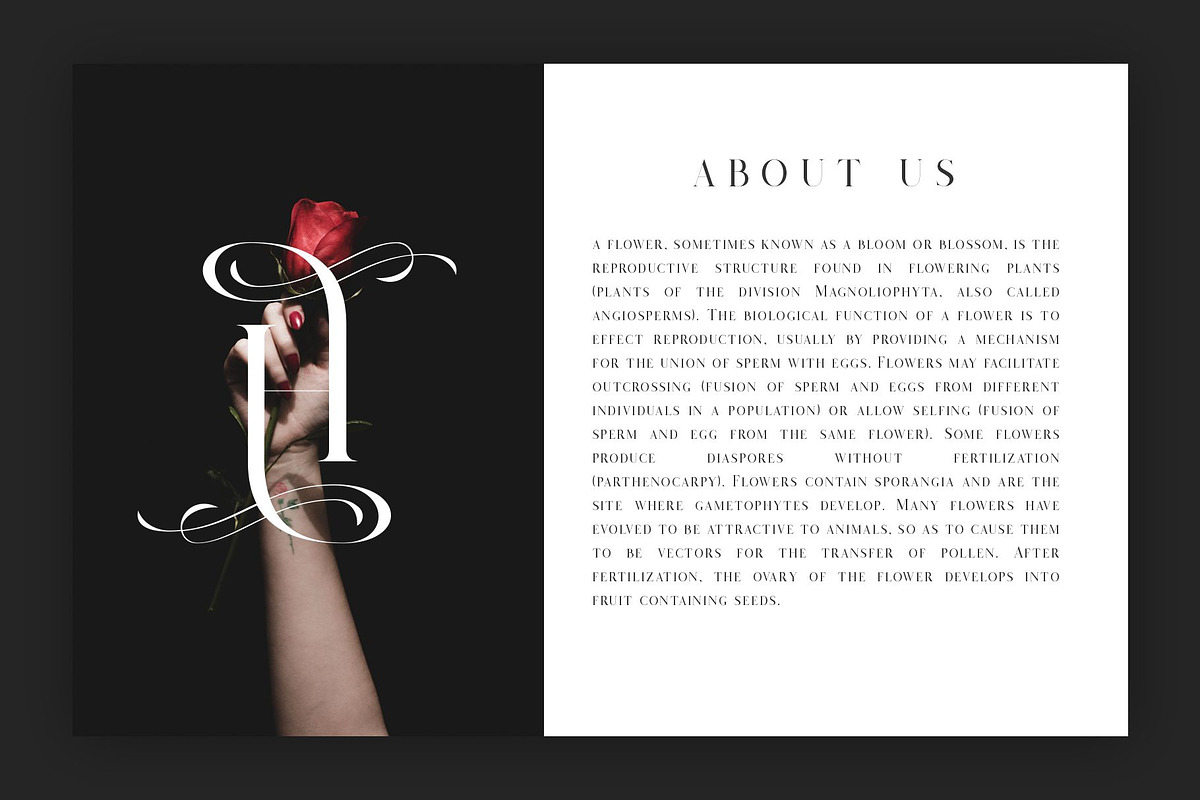 Salvalyn - Stylistic Serif Font preview 5