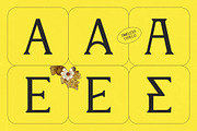 Enkyfa Serif Display Typeface, a Serif Font by timelesstype.co (Thumbnail 6 of 15)