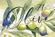 Olive Branches Watercolor Clipart, a Food Illustration by YarovaArt (Thumbnail 1 of 28)