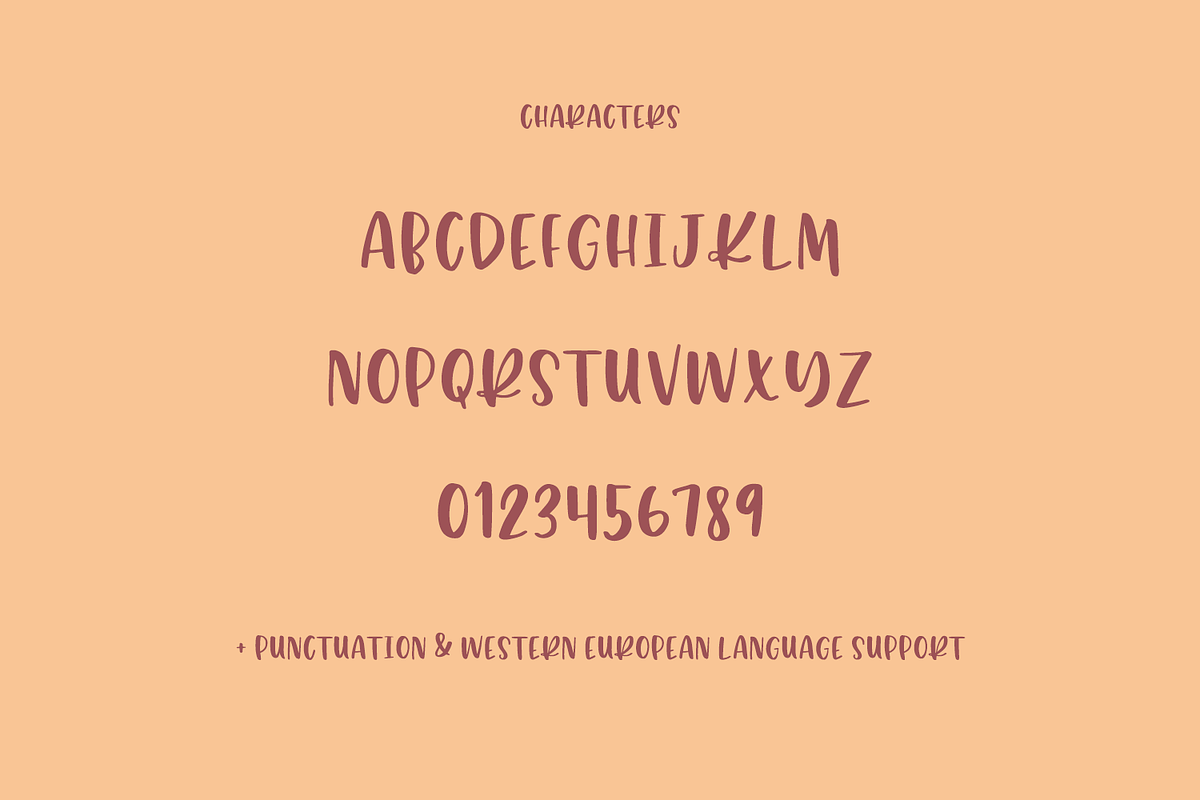 Pumpkin Chunk Sans, a Sans Serif Font by Beck McCormick (Photo 10 of 10)