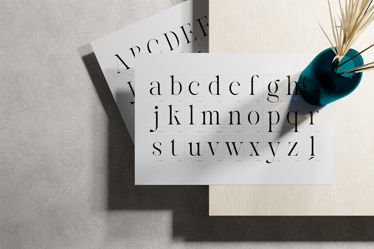 Reichamerina font family, a Serif Font by Ryul Davidson (Photo 9 of 27)