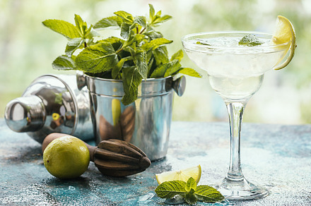 Classic lime margarita cocktail containing margarita, cocktail, and green, a Food & Drink Photo by piter.goskov