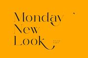 Fulgo Font, a Serif Font by vuuuds (Thumbnail 15 of 16)