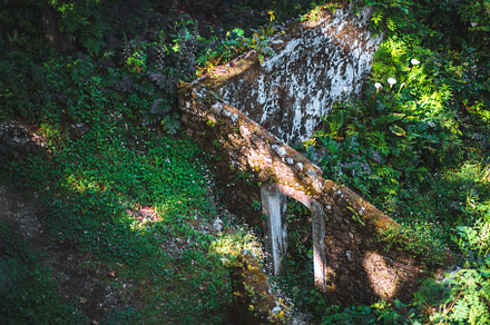 Overgrown stone ruins in Sintra