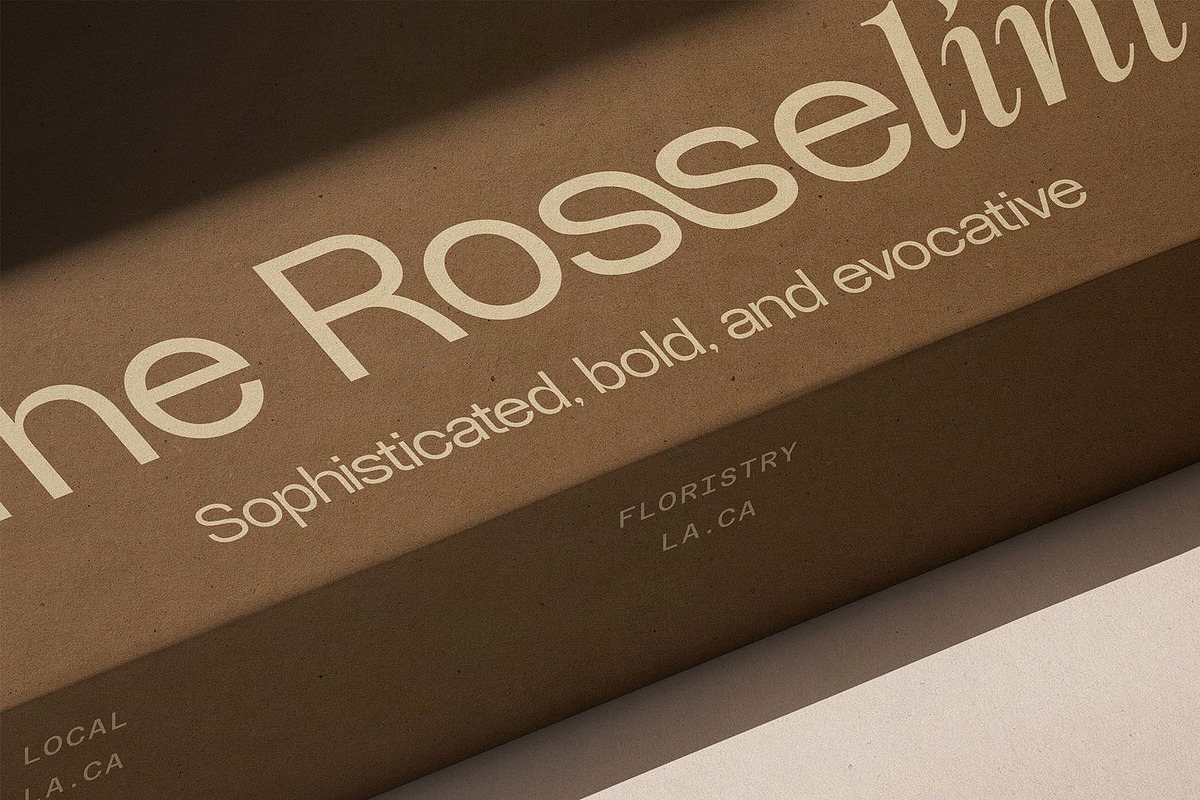 Dessign Maison - Hybrid Display Font, a Serif Font by SilverStag Type Foundry (Photo 5 of 18)