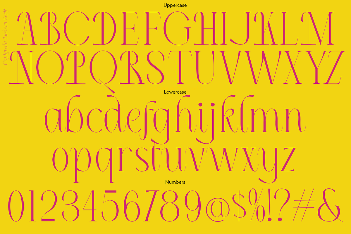 Capigrella Font, a Serif Font by TypeClassHeroes (Photo 5 of 15)