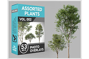 53 Trees PNG Photo Overlays, a Nature Photo by KenScape (Thumbnail 1 of 3)