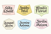 Saltza – A Decorative Handcrafted, a Handwritten Font by Four Lines Std. (Thumbnail 2 of 11)