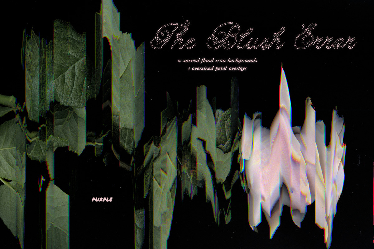 The Blush Error - Floral Backgrounds, a Wallpaper Graphic by Purple (Photo 1 of 12)