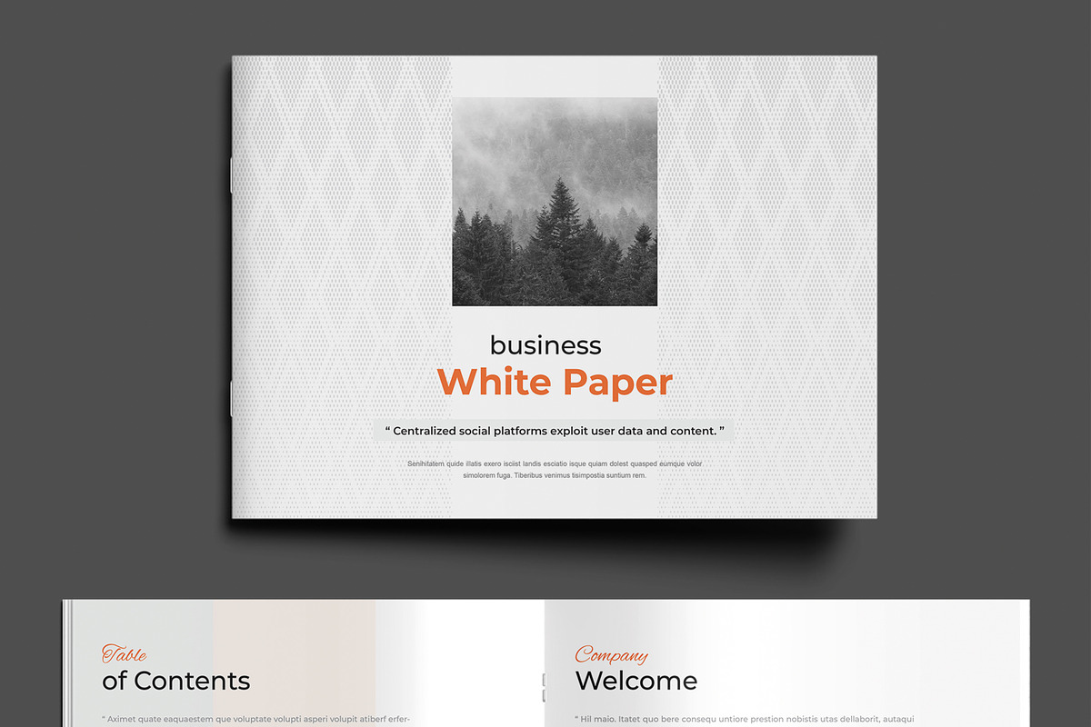Editable Business White Paper Layout, a Brochure Template by MightyDesign (Photo 2 of 9)