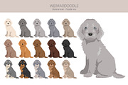 Weimardoodle. Weimaraner Poodle mix, an Illustration by pet design shop (Thumbnail 4 of 6)