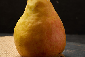 A ripe yellow pear with its stem, on a dark wooden board, a Food & Drink Photo by ndanko
