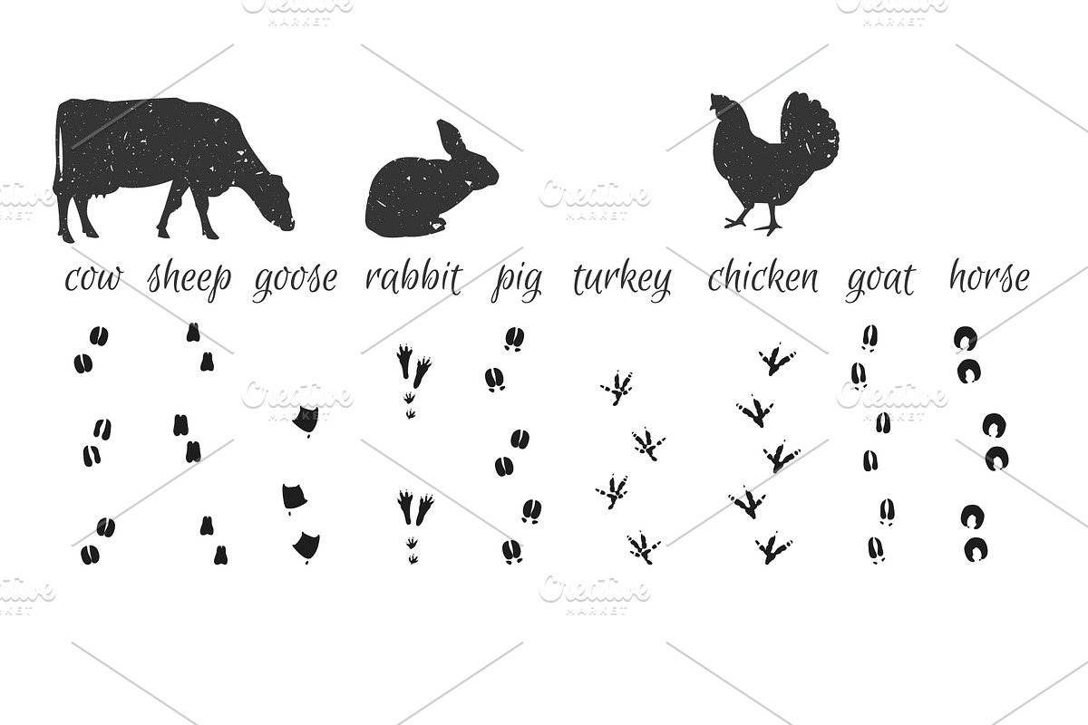 Farm animals collection., an Animal Illustration by itiir (Photo 4 of 4)