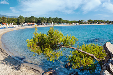 Summer morning  Platanitsi beach on Sithonia Peninsula (Chalcidi, a Photo by YuriyB