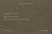 Vintage Lace Papers backgrounds, a Background Graphic by DigARTbyHavroshka (Thumbnail 12 of 13)