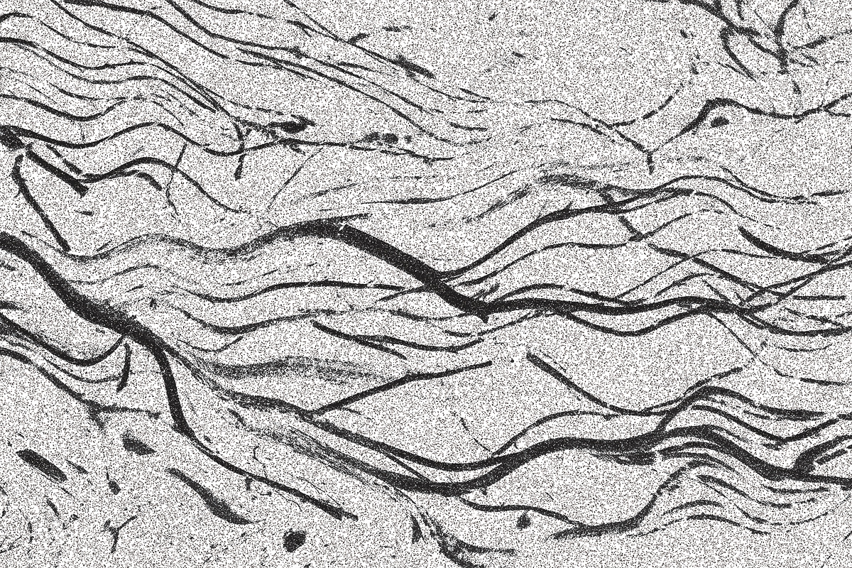 Twisted by Nature Vol 3, a Texture Graphic by Jennifer Lauren Creative (Photo 6 of 16)