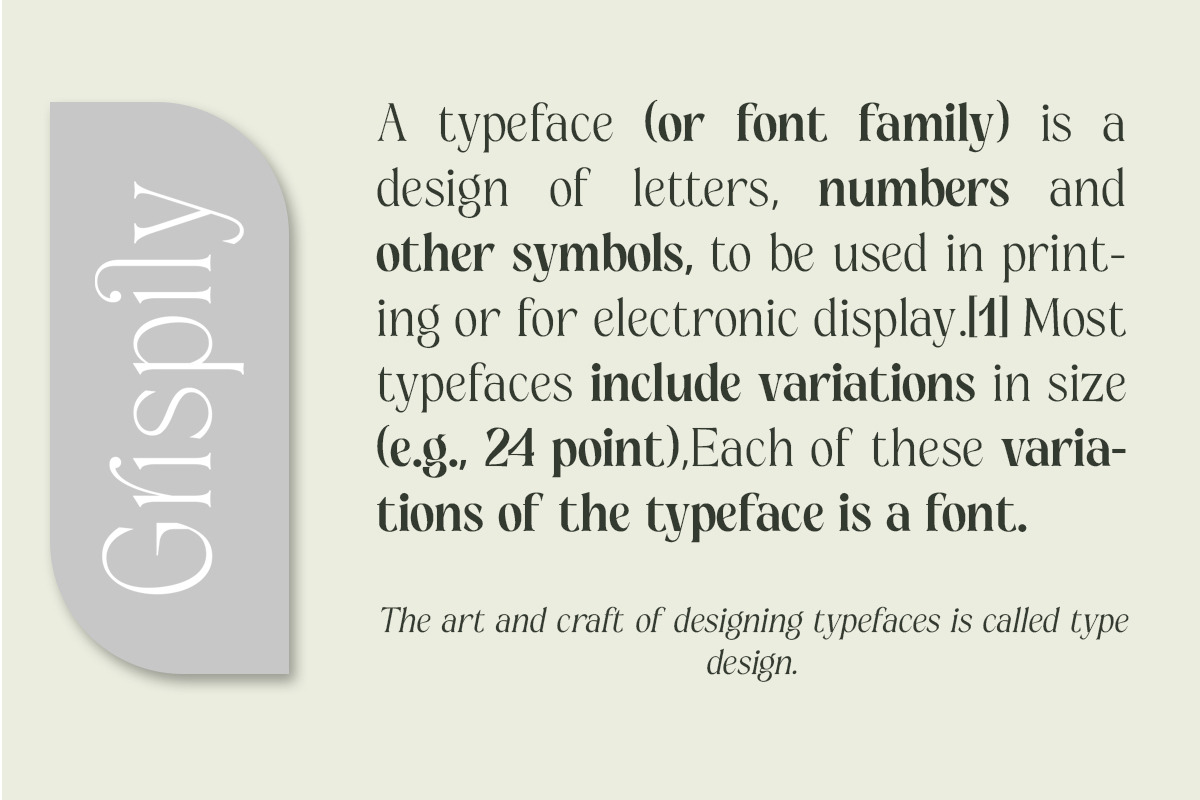 Grispily, a Serif Font by Black Studio (Photo 9 of 16)