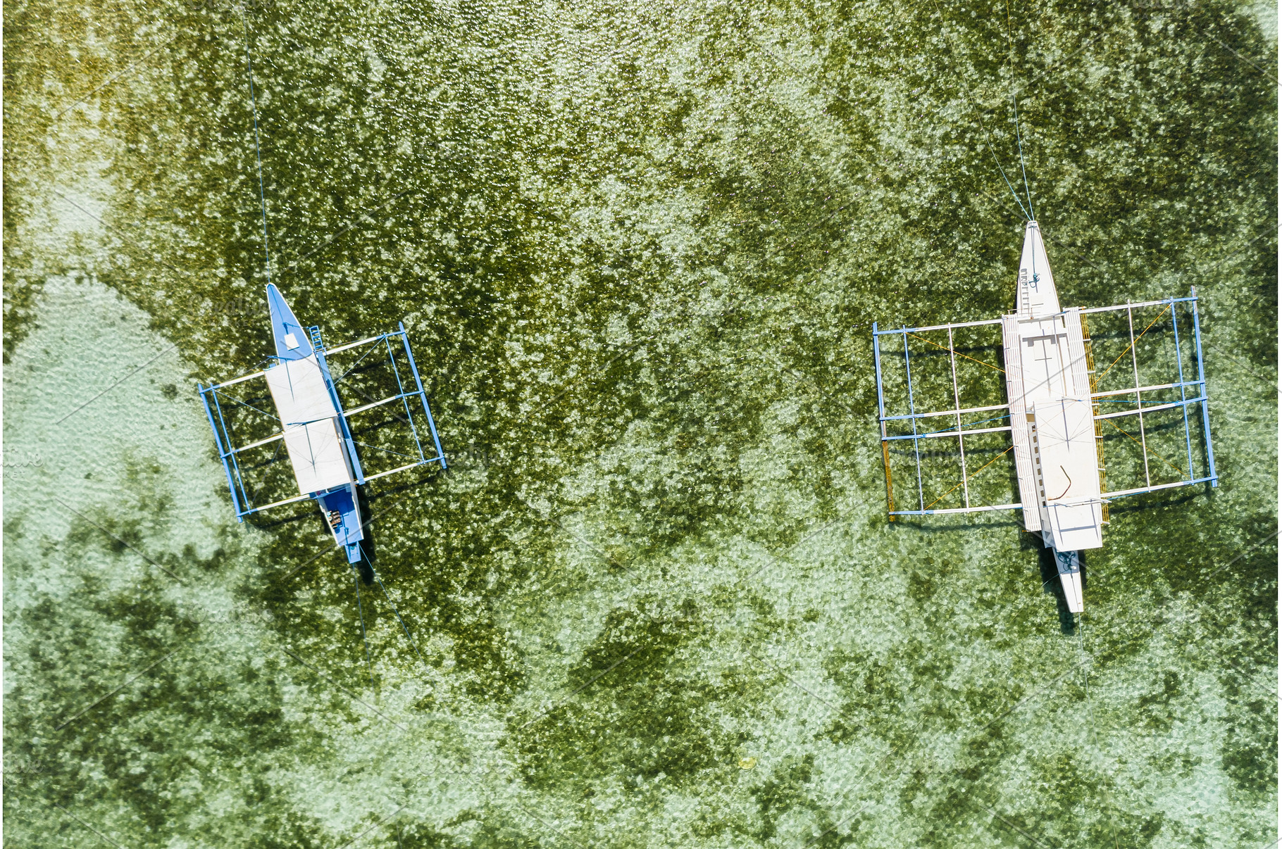Top down aerial view of a two, a Nature Photo by Igor Tichonow