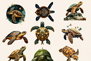 REALISTIC TURTLES CLIPART, an Animal Illustration by Daring Digies (Thumbnail 2 of 7)