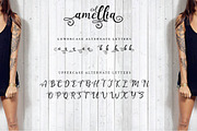 Amellia Beauty Script, a Script Font by Haksen (Thumbnail 5 of 5)