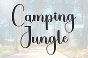 Ahistorical, a Handwritten Font by FreshTypeINK (Thumbnail 4 of 8)