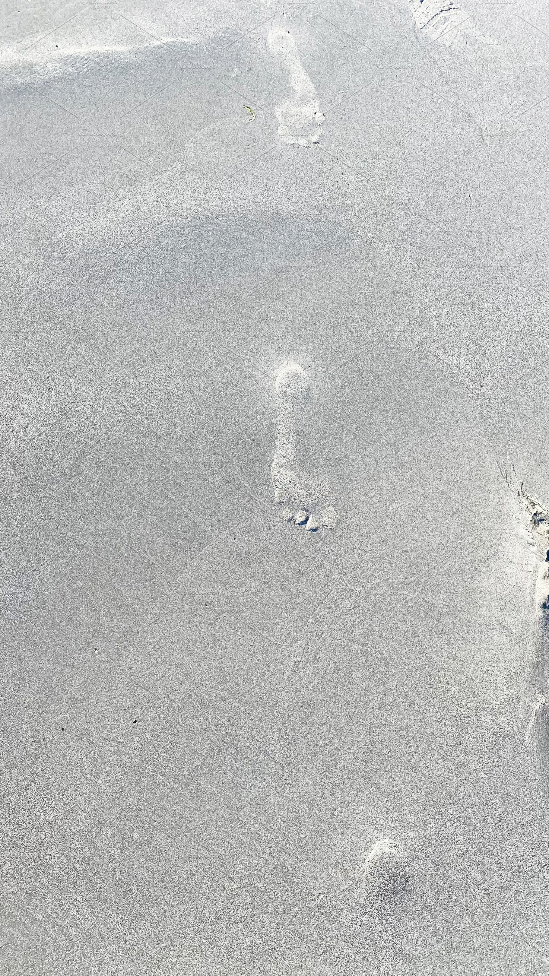 Footprints in smooth beach sand along a quiet New England coast at the shorelin, a Photo by AS photostudio